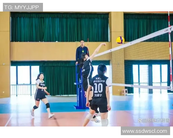 南京排球队技术实力强劲荣登全国排球技术排行榜第五名