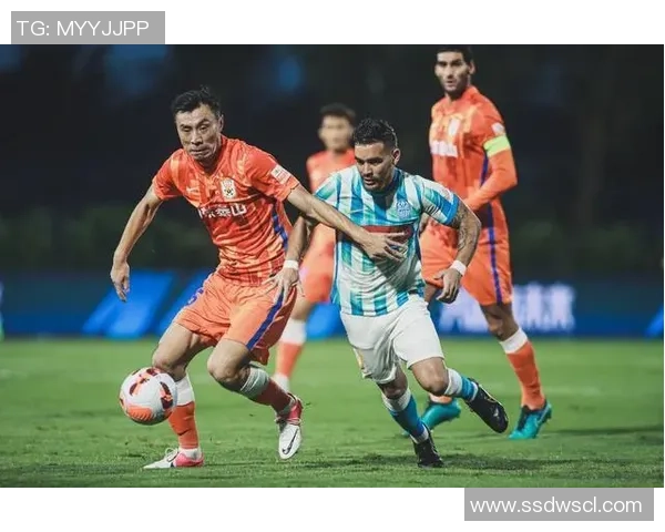 北京排球队以76分领跑精英赛积分榜展现强大实力 北京排球队以76分领跑精英赛积分榜展现强大实力