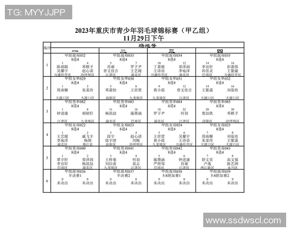 赛后分析：北京羽毛球队与重庆羽毛球队实力对比及比赛亮点解析