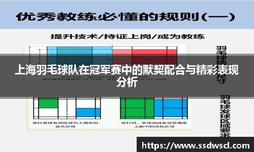 JJB竞技宝官网